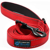 Max and Neo reflective nylon dog leash in red with padded handle for comfort.