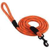 Max and Neo rope leash reflective orange close-up shows heavy-duty clasp for secure walks