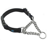 Max and Neo stainless steel chain martingale collar; close-up of durable links for secure control.
