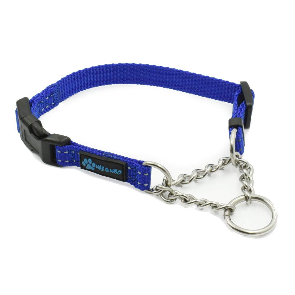 Max and Neo stainless steel chain martingale collar blue with durable links for daily walks