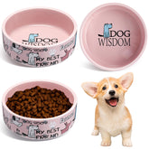 Maxcheck 2pc pink ceramic dog bowls front view highlighting cute cartoon pattern for small pets.