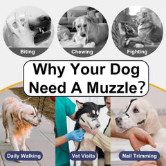 Mayerzon basket muzzle in use during grooming and vet visits