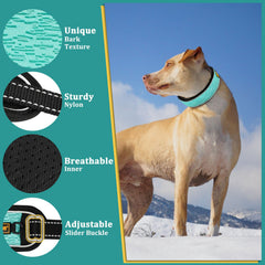 Mayerzon Martingale cyan collar with breathable mesh interior for comfortable long walks.
