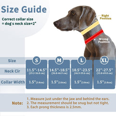 Mayerzon collar adjustable slider ensures a precise neck fit during walks.