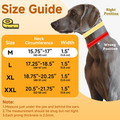 Mayerzon collar close-up showing tightening loop for gentle correction