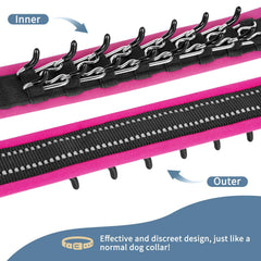 Mayerzon collar side-adjustment highlights quick fit on growing dogs