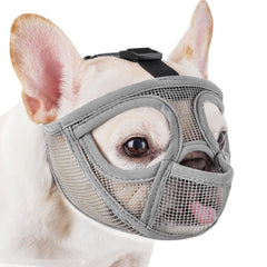 Mayerzon short snout muzzle with pant design enables breathing and prevents ground scavenging