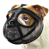 Mayerzon short snout muzzle mouth-pocket design enables panting and safety during walks