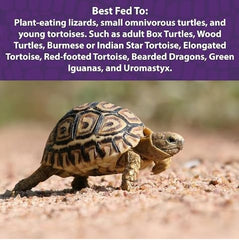 Mazuri Juvenile Tortoise Food serving dish demonstrates portioning for daily feeding.
