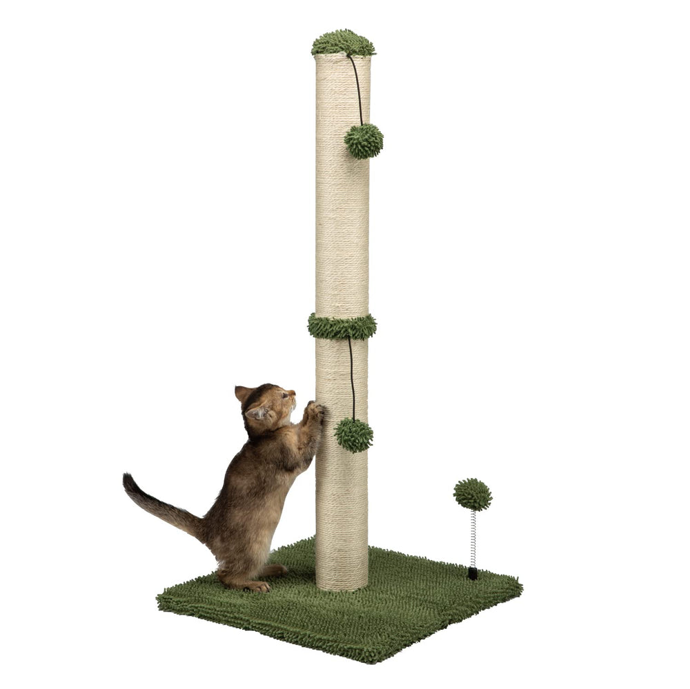 MECOOL 34-inch tall cat scratch post assembly shows easy setup and stability.