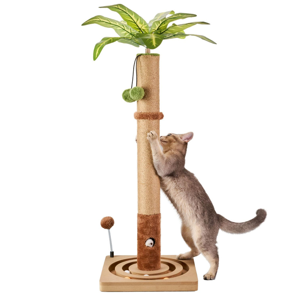 MECOOL 35in tall cat scratching post base provides a stable foundation for climbing cats.