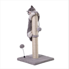 MECOOL cat scratching post assembly shows quick setup for kittens and small cats.