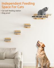 Megidok 304 stainless bowls are wide and whisker-friendly for comfortable eating.