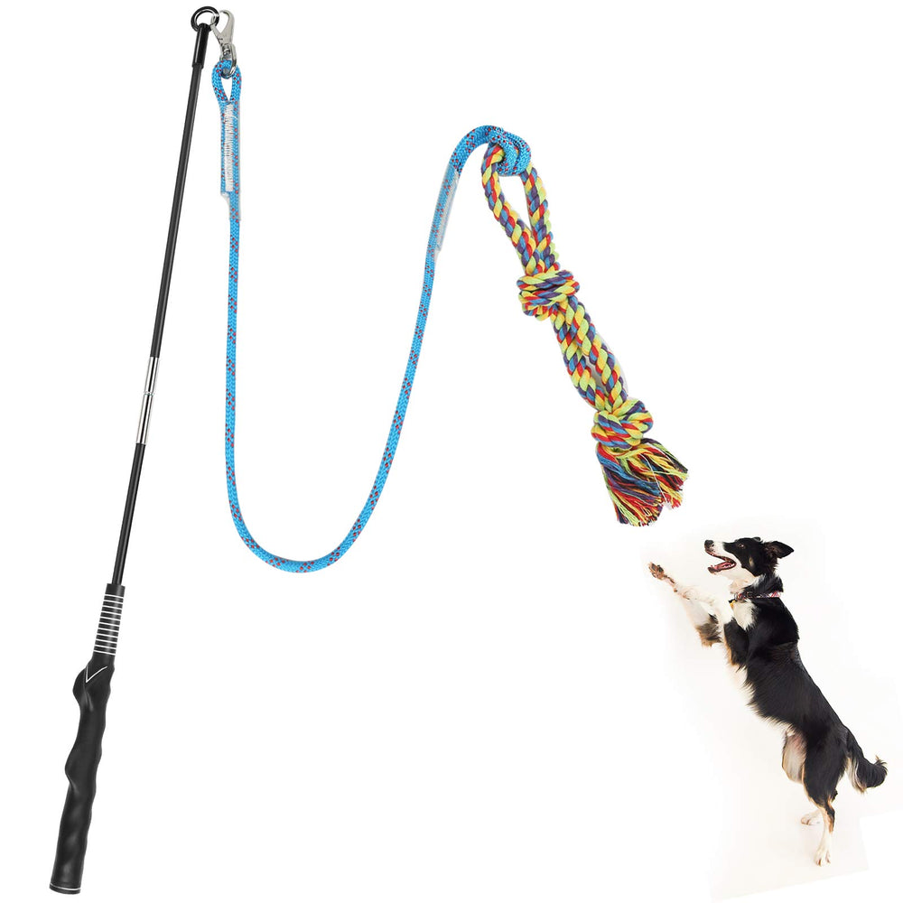 Meieke Flirt Pole in action, dog chasing the lure for active play.