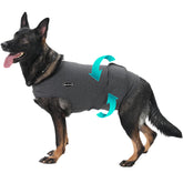 Meifsou Dog Anxiety Vest front-wearing shows gentle pressure for calm moments