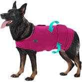 Meifsou dog anxiety vest wearing on a calm dog showing secure comfort during storms and vet visits