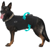 Meifsou dog anxiety vest worn on a dog provides calming support during storms.