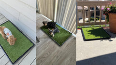 Meizhuang large dog potty grass 35x21-7 inches provides ample space