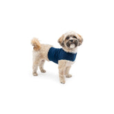 Mellow Shirt dog-anxiety-wrap-on-dog demonstrates soothing pressure that helps calmer moments.