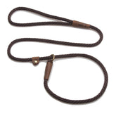 Mendota Pet Slip Leash overview shows dual leash and collar use for training.