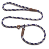 Mendota Slip Leash Amethyst 6ft shown in use with soft, controlled training for active dogs.