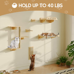 MeowHomm cat wall shelves hammock offers cozy resting spot with secure support and calm observing