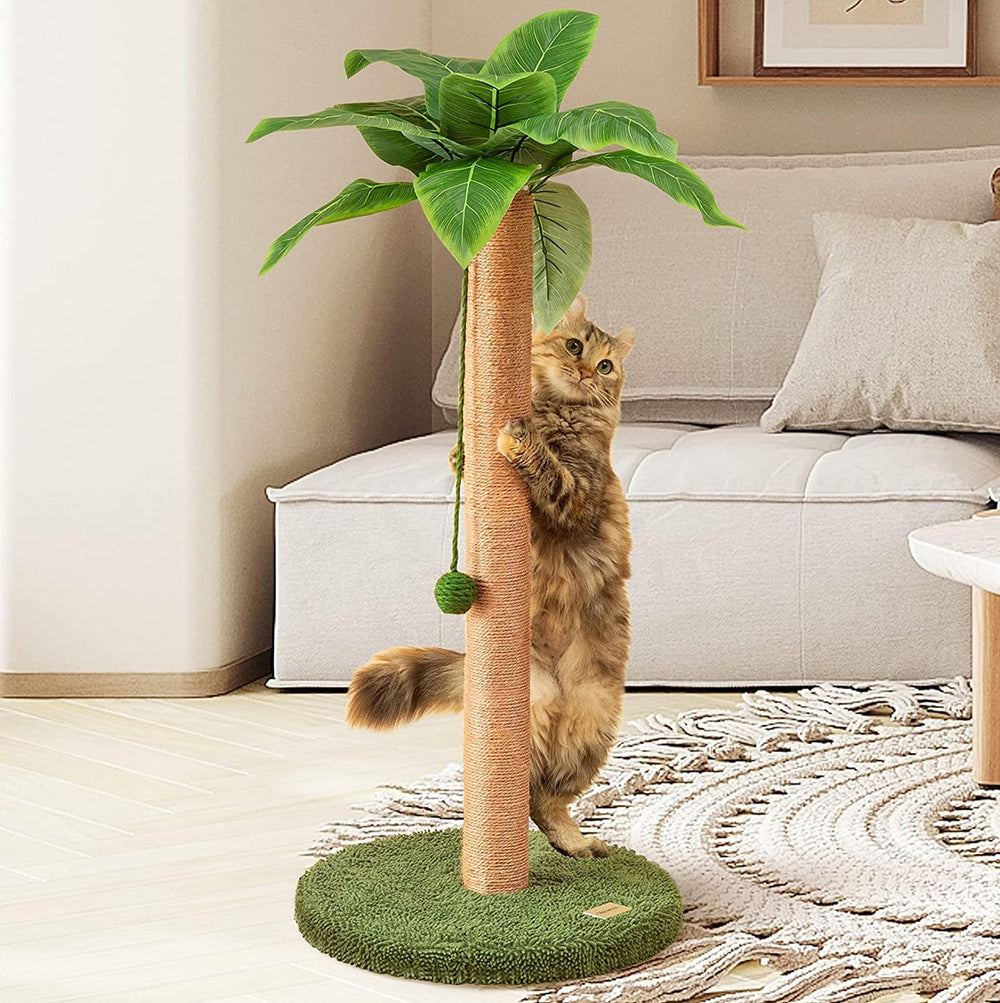 Meowoou cat scratching post 33-inch tall during assembly, sturdy base for safe setup.