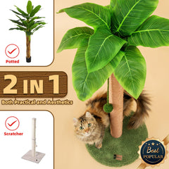 Meowoou 33-inch cat tree showcasing multi-level design for climbing and scratching.