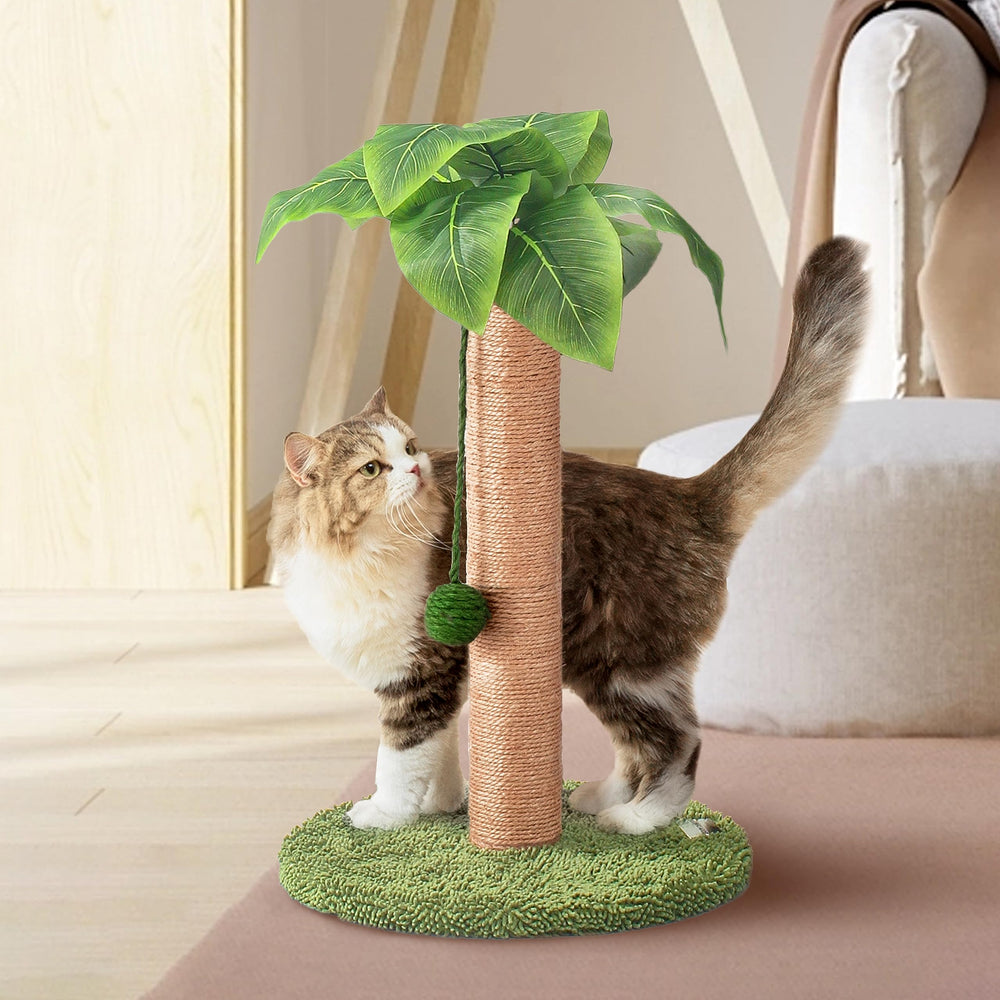 Meowoou cat scratching post with hanging ball in green invites playful stretching.