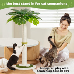 Meowoou cat tree hanging ball offers interactive play and steady engagement.