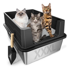 Meowra XXXL litter box top view shows spacious interior for large cats.