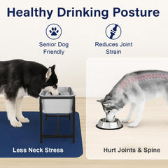 MeoWriental 2.5-gallon bowl provides big-capacity convenience for multiple dogs