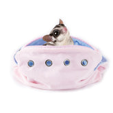 Meow&Woof sugar-glider-bonding-pouch pink close-up for cozy cuddles on the go