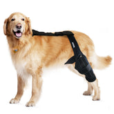 MerryMilo dog knee brace front view shows ACL support for stable movement.