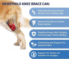 MerryMilo dog knee brace side profile demonstrates discreet rear leg support during daily walks