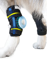 MerryMilo dog leg brace rear-hock view offering steady support on outdoor walks