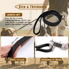 Meruogkar 6ft leash in use for training and walks.