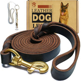Meruogkar leather dog leash with braided handle for comfortable daily walks.