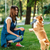 Metionc Juguete durable para perros grandes con sonido, ideal para masticación