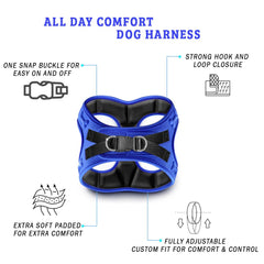 Metric USA Comfort Fit back clip leash view enables casual strolls with rear attachment.