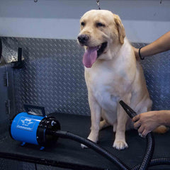 METROVAC AFTD-3 with 6ft hose ready for professional grooming tasks