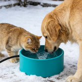 MEWTOGO 3.2L heated water bowl top view showing outdoor hydration capacity