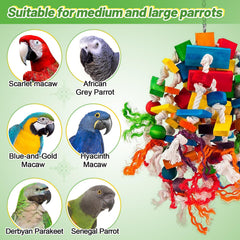 MEWTOGO parrot toy with bright colors attracts attention for enrichment