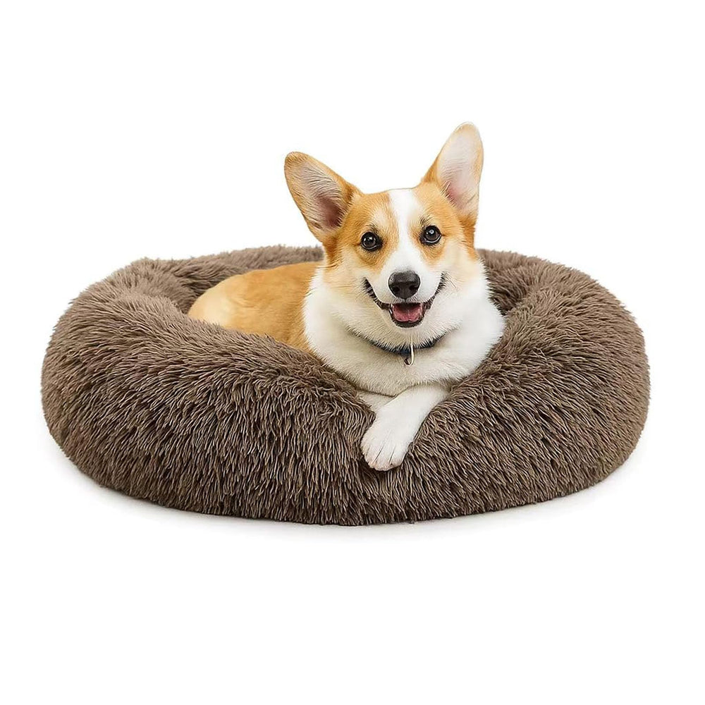 MFOX Calming Dog Bed with plush faux fur donut for cozy naps.