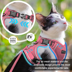 MHHYQF cat harness four-buckles close-up demonstrates secure fit.