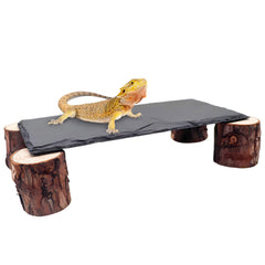MHLLGN Bearded Dragon Basking Platform—basking area for warmth and healthy daytime activity.