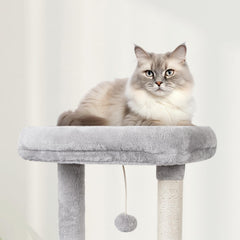 MIAO PAW sisal post close-up supports healthy scratching