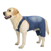 Miaododo dog jeans jumpsuit in blue-washed denim offers stylish everyday wear for medium to large dogs.