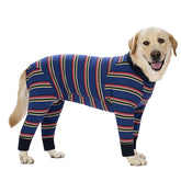 Miaododo dog recovery suit full belly protects surgical area for travel and wear