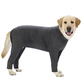 Miaododo grey-dog-surgery-recovery-suit-on-dog offers protective coverage to prevent licking